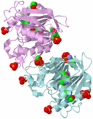 Image Biological Unit 3