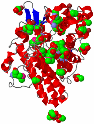 Image Asym./Biol. Unit