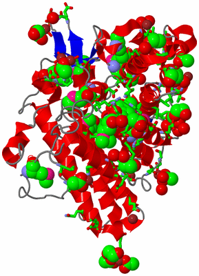 Image Asym./Biol. Unit - sites