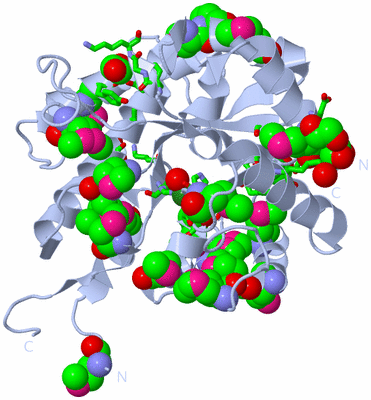 Image Biol. Unit 1 - sites