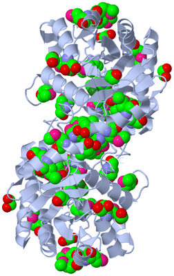 Image Biological Unit 2