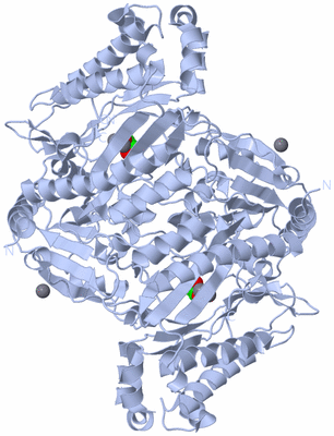 Image Biological Unit 1