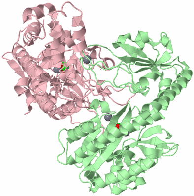 Image Biological Unit 2