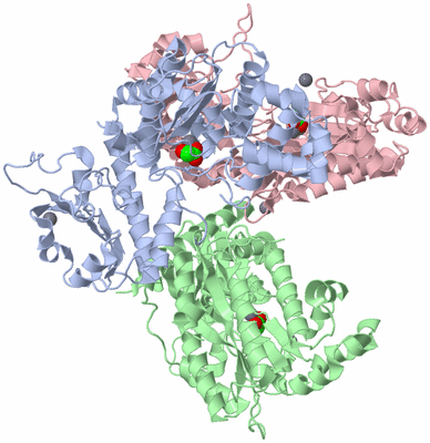 Image Biological Unit 3