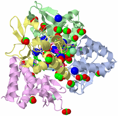 Image Asym./Biol. Unit