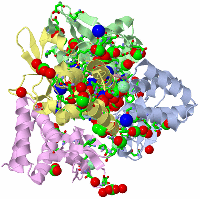 Image Asym./Biol. Unit - sites