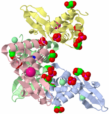 Image Asym./Biol. Unit