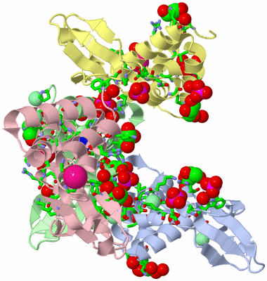 Image Asym./Biol. Unit - sites