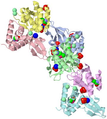 Image Asym./Biol. Unit