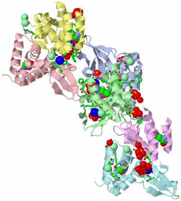 Image Asym./Biol. Unit - sites