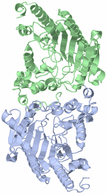 Image Biological Unit 1