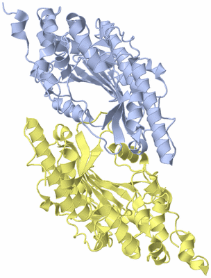 Image Biological Unit 3