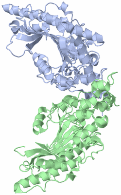 Image Biological Unit 1