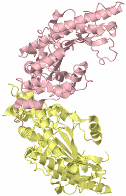 Image Biological Unit 2