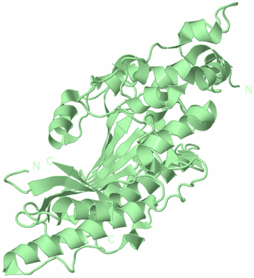 Image Biological Unit 4