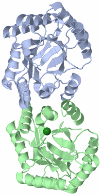 Image Asym./Biol. Unit