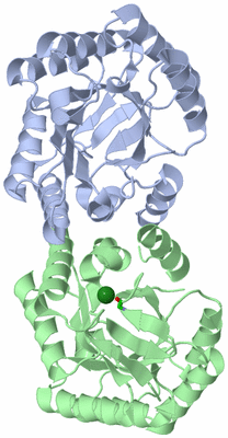 Image Asym./Biol. Unit - sites