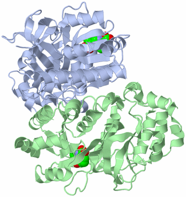 Image Asym./Biol. Unit