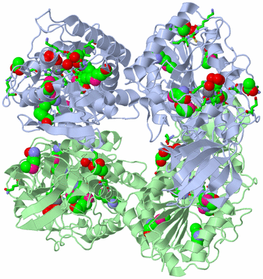 Image Biol. Unit 1 - sites