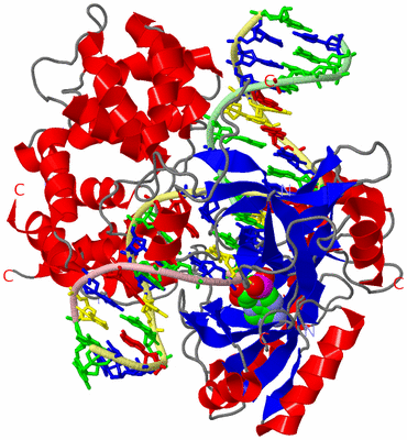 Image Asym./Biol. Unit