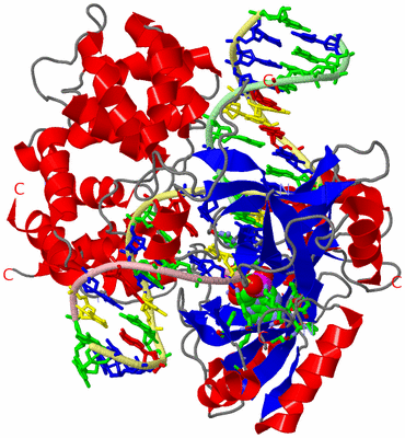 Image Asym./Biol. Unit - sites