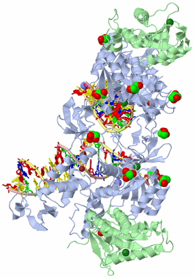 Image Biological Unit 1