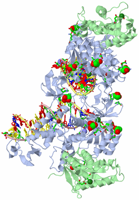 Image Biol. Unit 1 - sites