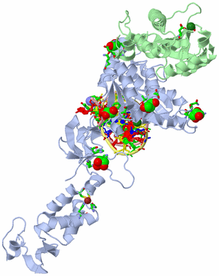 Image Asym. Unit - sites