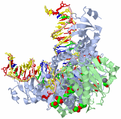 Image Biological Unit 1