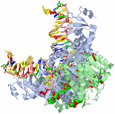 Image Biol. Unit 1 - sites