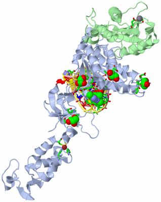 Image Asym. Unit - sites