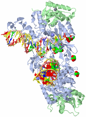 Image Biological Unit 1