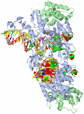 Image Biol. Unit 1 - sites