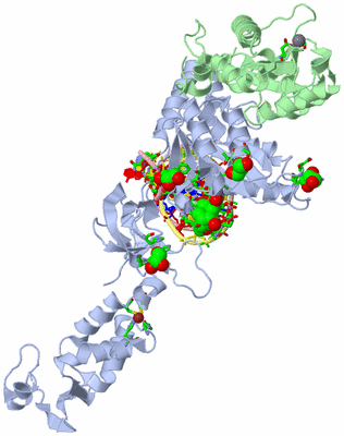 Image Asym. Unit - sites