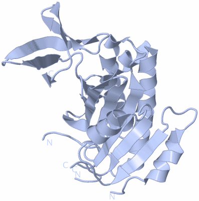 Image Biological Unit 1