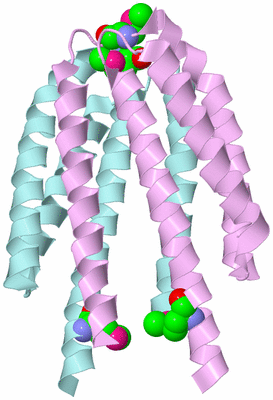 Image Biological Unit 3