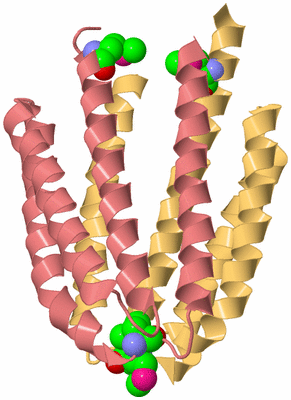 Image Biological Unit 4