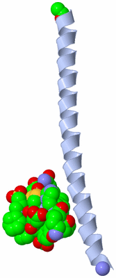 Image Asymmetric Unit