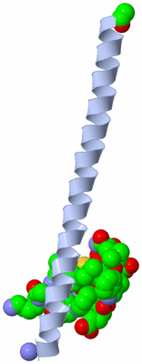 Image Asymmetric Unit