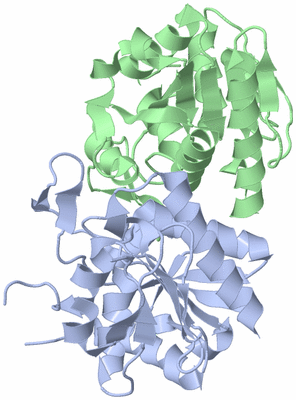 Image Asym./Biol. Unit