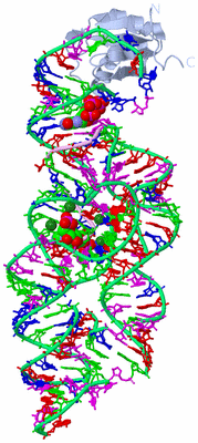 Image Biological Unit 1