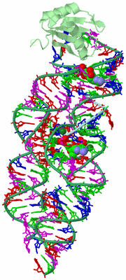 Image Biological Unit 2