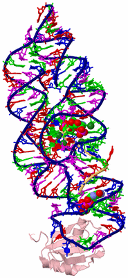 Image Biological Unit 3