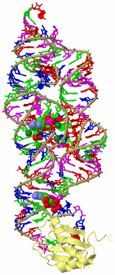 Image Biological Unit 4