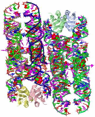 Image Asym. Unit - sites