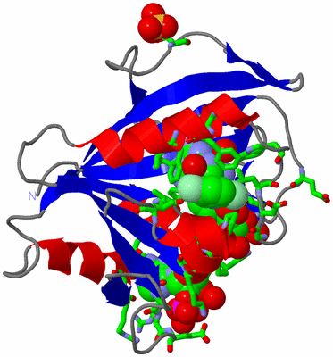 Image Asym./Biol. Unit - sites