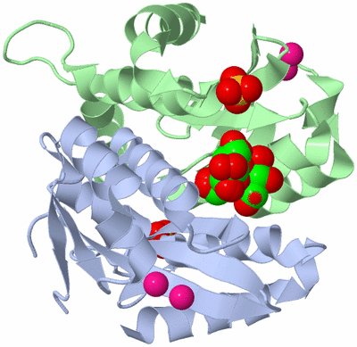 Image Asym./Biol. Unit