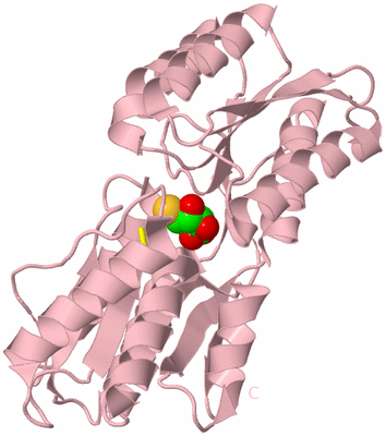 Image Biological Unit 3