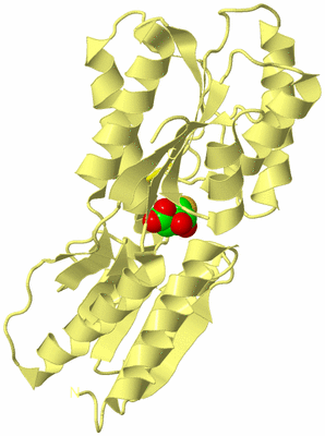 Image Biological Unit 4