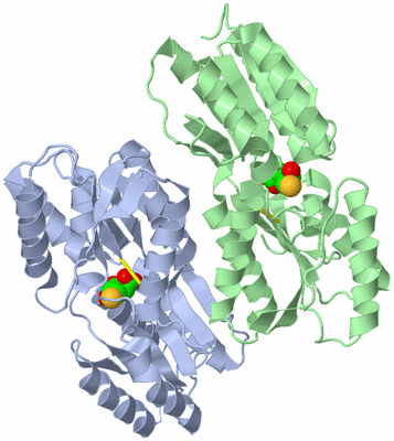 Image Biological Unit 5